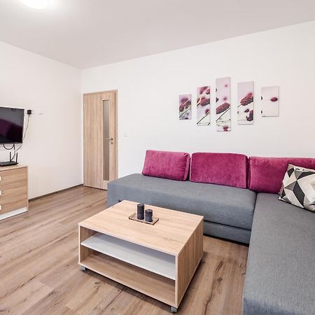 Private Luxury Apartments Frymburk Oda fotoğraf