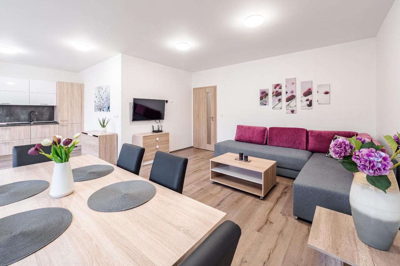 Private Luxury Apartments Frymburk Dış mekan fotoğraf
