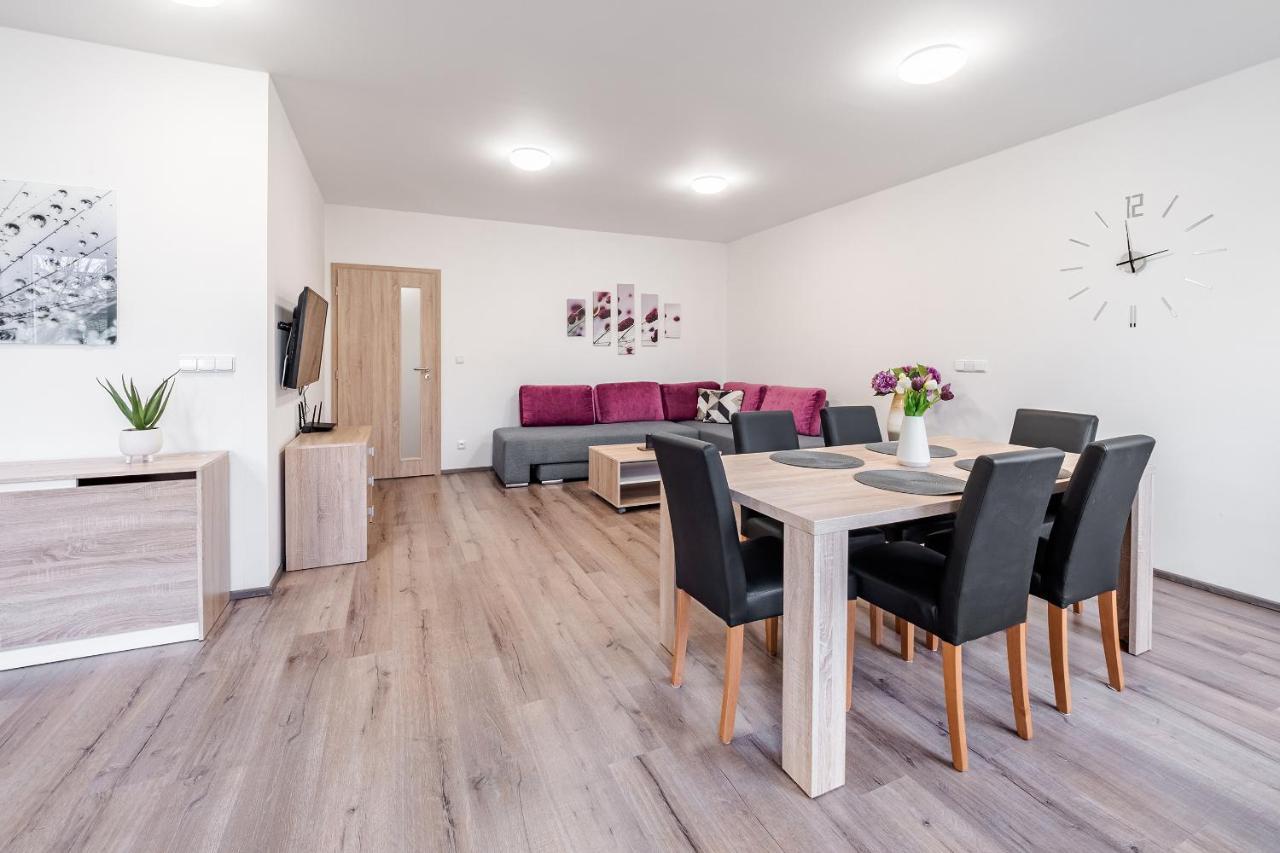 Private Luxury Apartments Frymburk Dış mekan fotoğraf