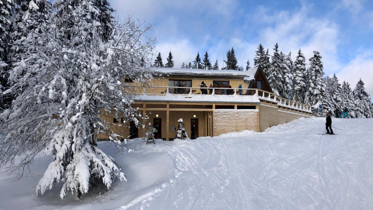 Private Luxury Apartments Frymburk Dış mekan fotoğraf