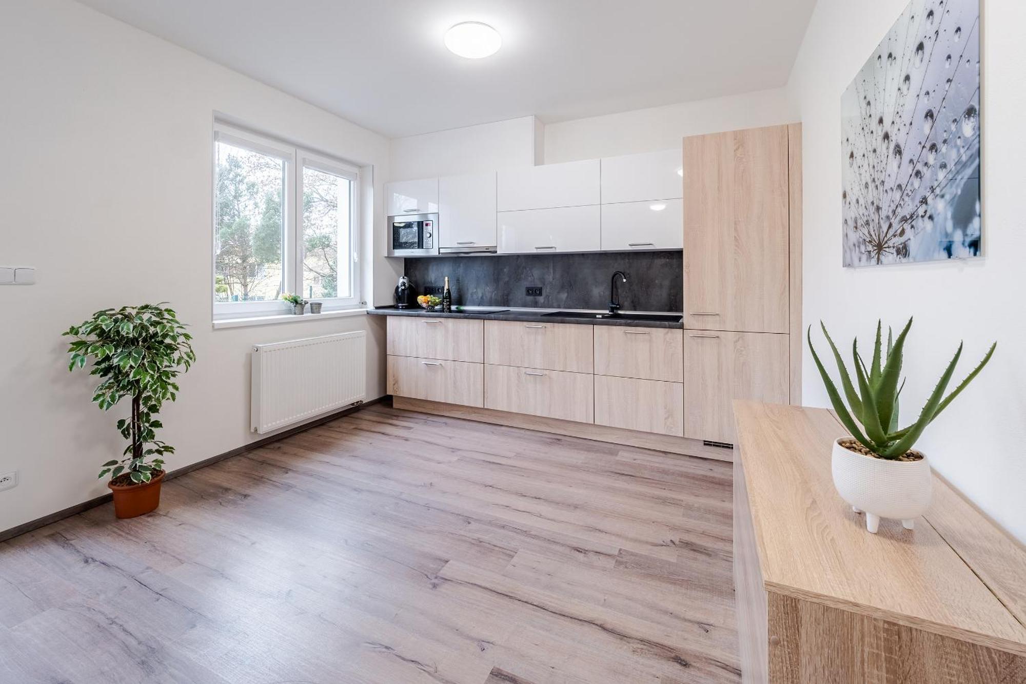 Private Luxury Apartments Frymburk Oda fotoğraf